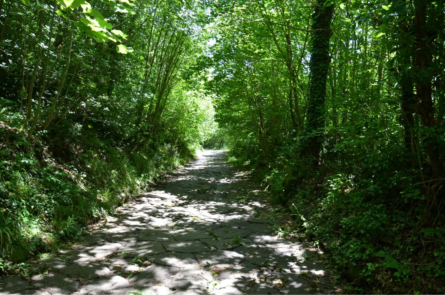 Alla scoperta della Via Sacra e del Monte Cavo