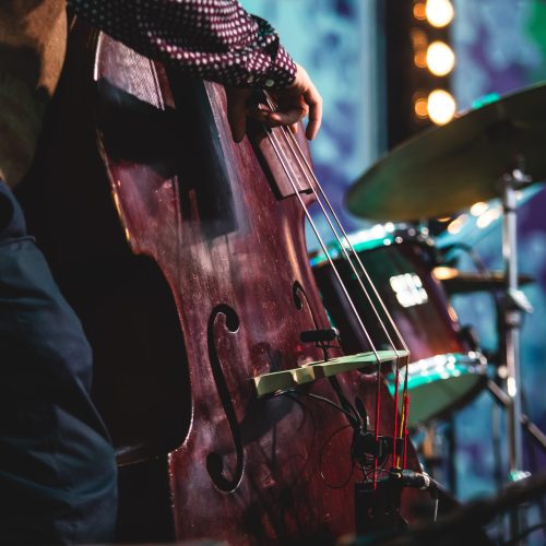 Concert view of a contrabass violoncello player with vocalist and musical band during jazz orchestra band performing music, violoncellist cello jazz player on stage