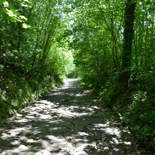 Alla scoperta della Via Sacra e del Monte Cavo